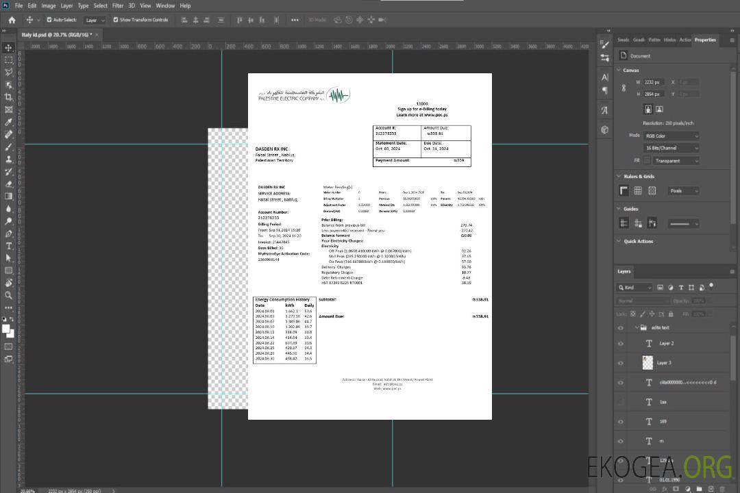 Modèle de facture de services publics de la Palestine Electric Company (PEC) aux formats Word et PDF template